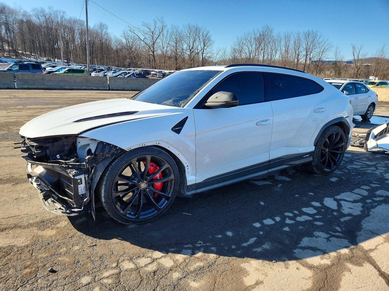 2024 Lamborghini Urus — lot COPART #79941735, Avariat Față