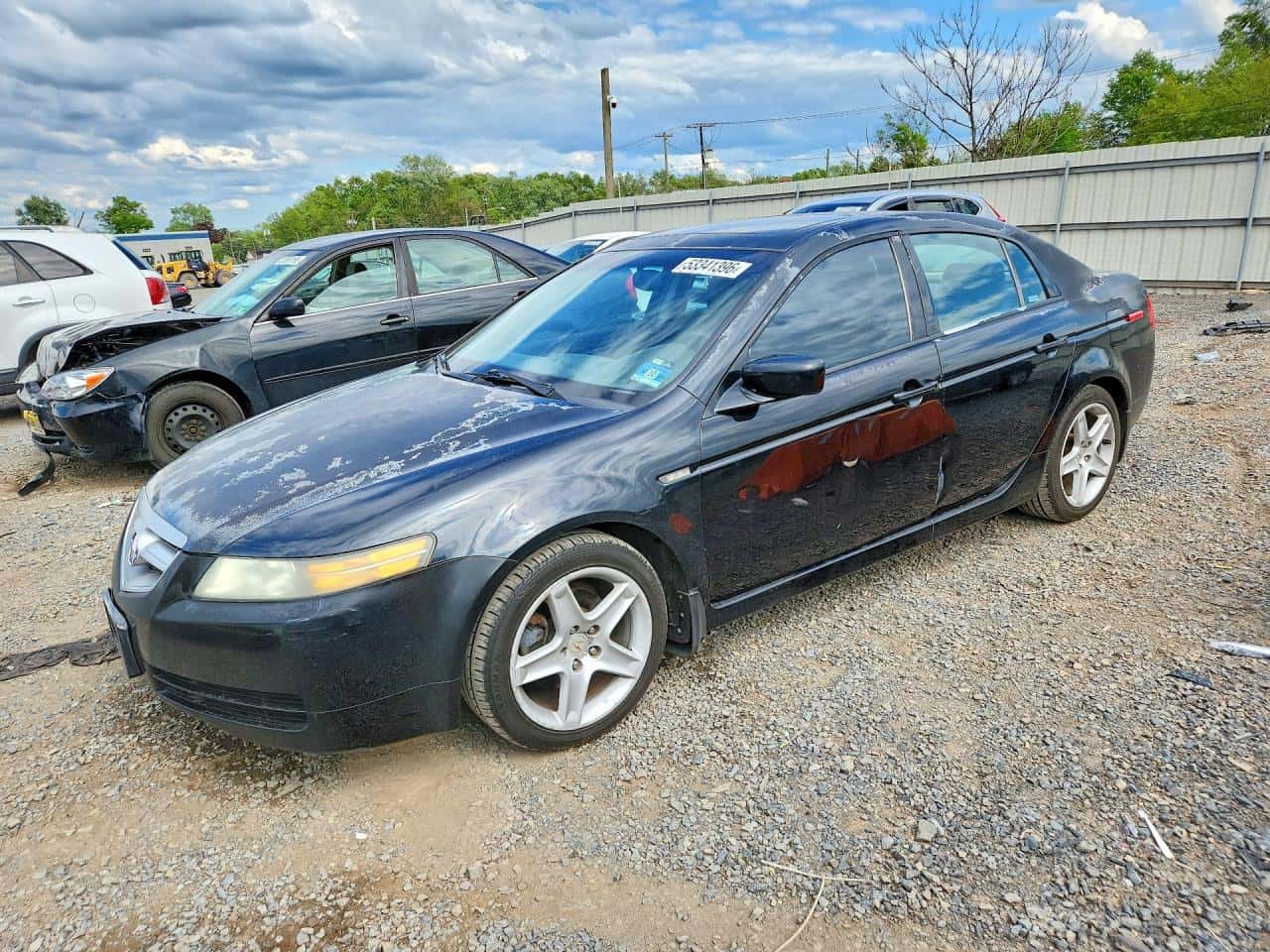 2004 Acura TL — lot COPART #53341396, Avariat Lateral