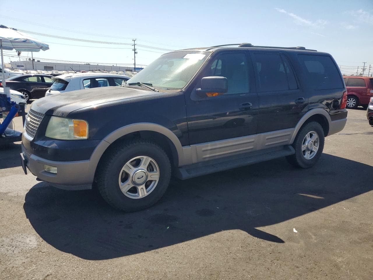 2003 Ford Expedition — lot COPART #66650606, Daune Minore