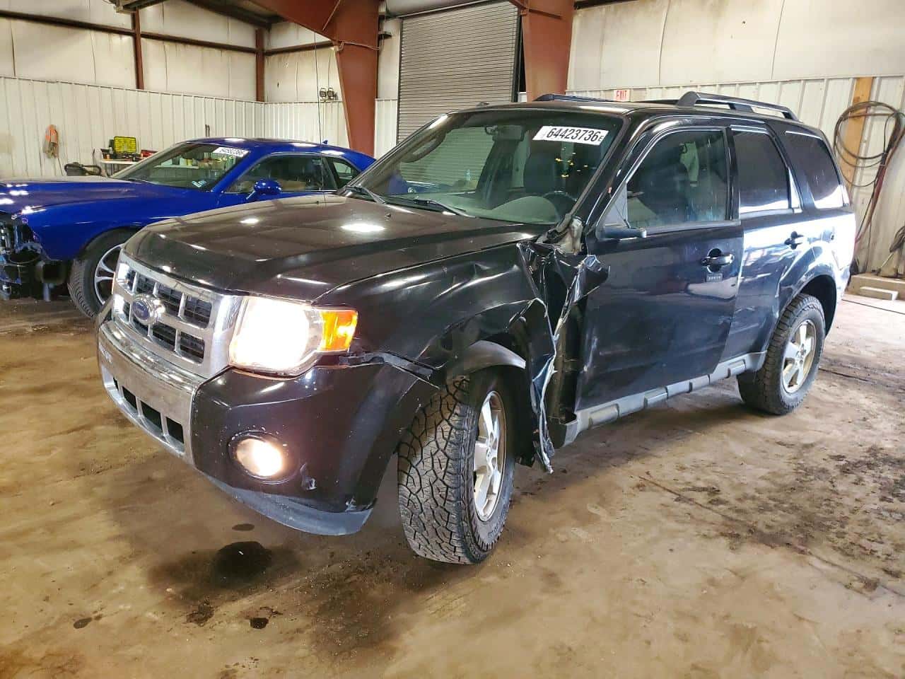 2009 Ford Escape — lot COPART #64423736, Avariat Lateral