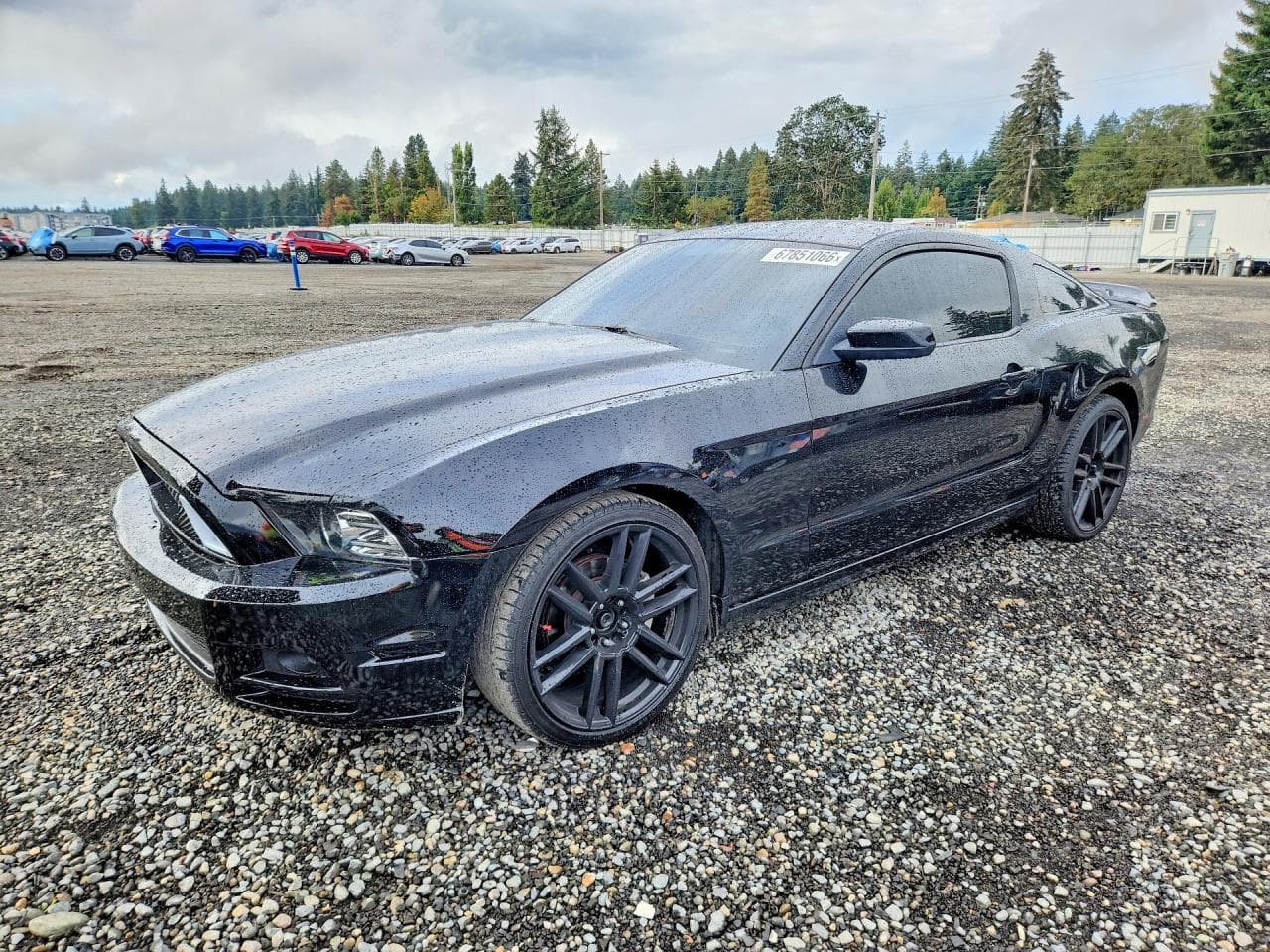 2014 Ford Mustang — lot COPART #67851066, Avariat Lateral
